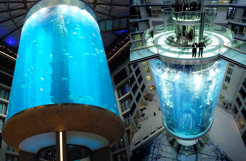 Illustration for article titled Aquadom Is Largest Cylindrical Aquarium on the Planet
